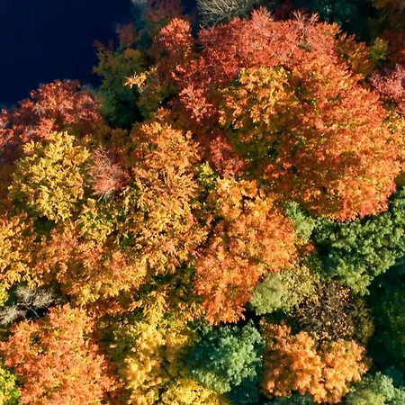 Parkresidenz Lychen, 7 Διαμέρισμα *