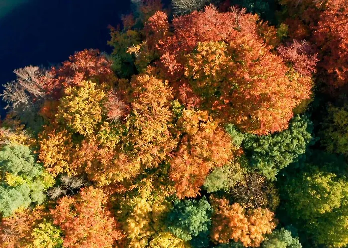 Parkresidenz Lychen, 7 Lägenhet *